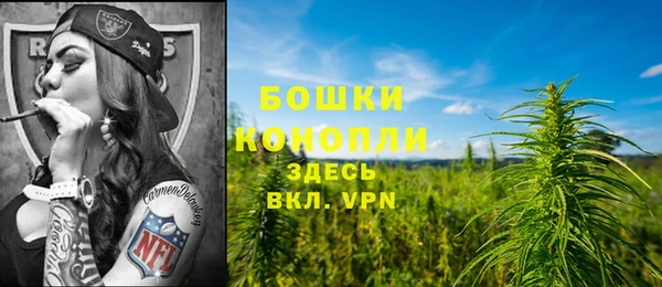spice Рославль