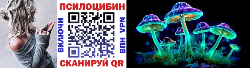 Галлюциногенные грибы Psilocybine cubensis  Сегежа 