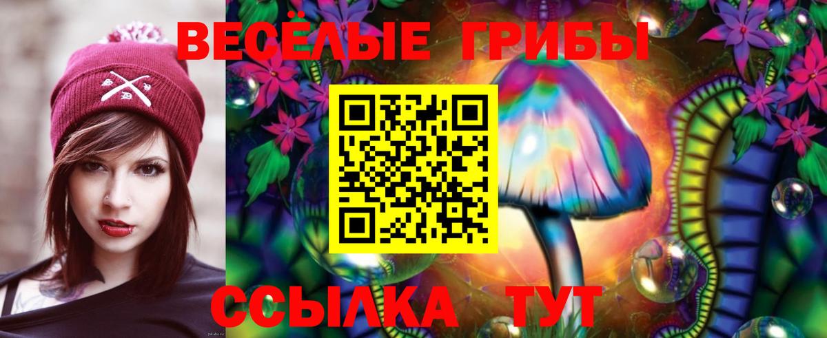 Галлюциногенные грибы ЛСД Сегежа